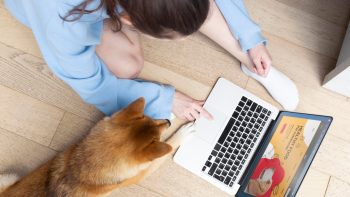 Explorer l'univers canin : les avantages de suivre un blog sur les chiens